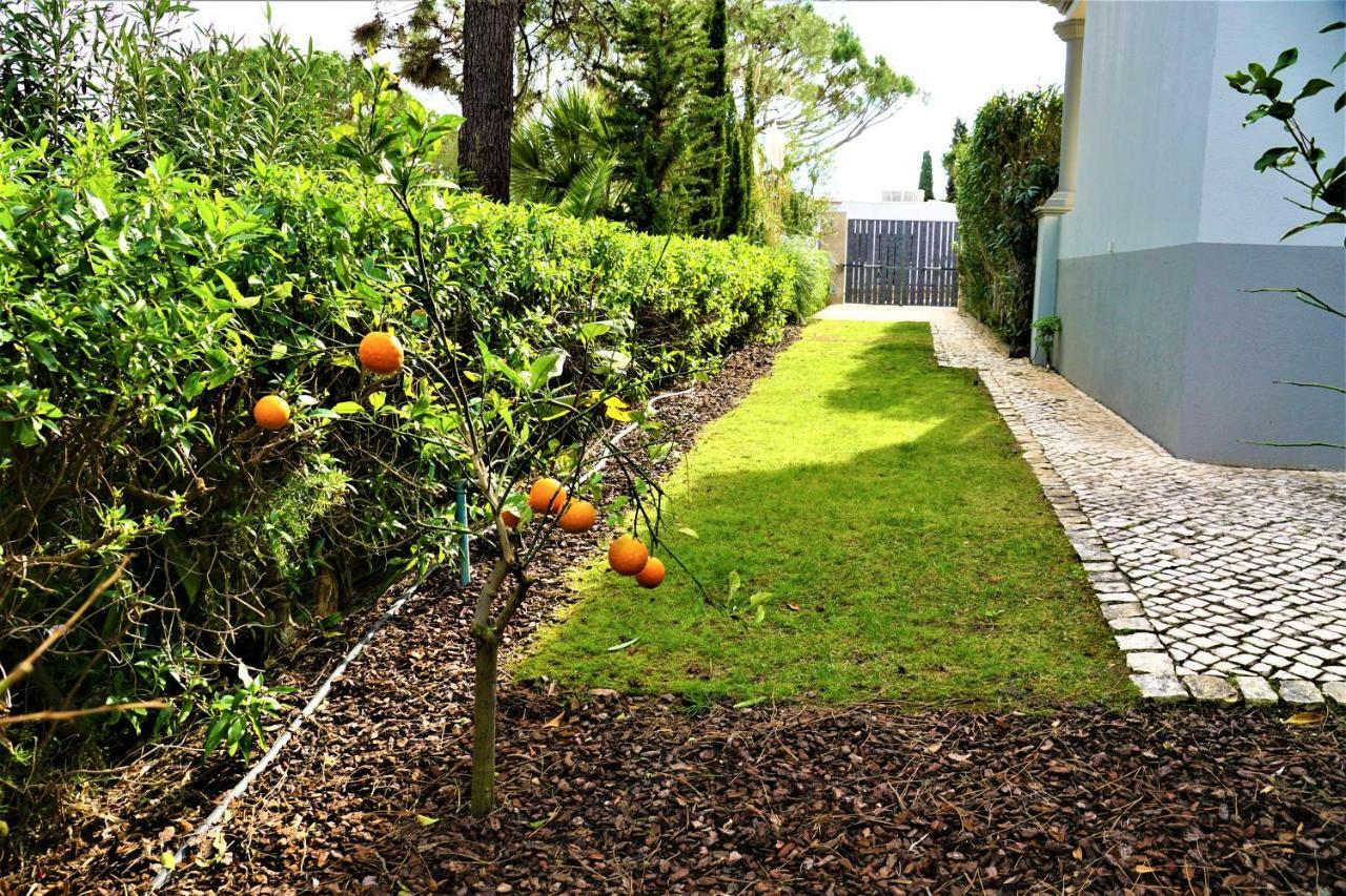 Charming Exceptional Golf Villa In Algarve FAO Exterior photo